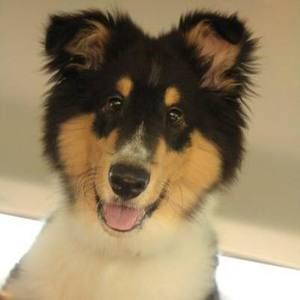 Meet your Posher, Caleb